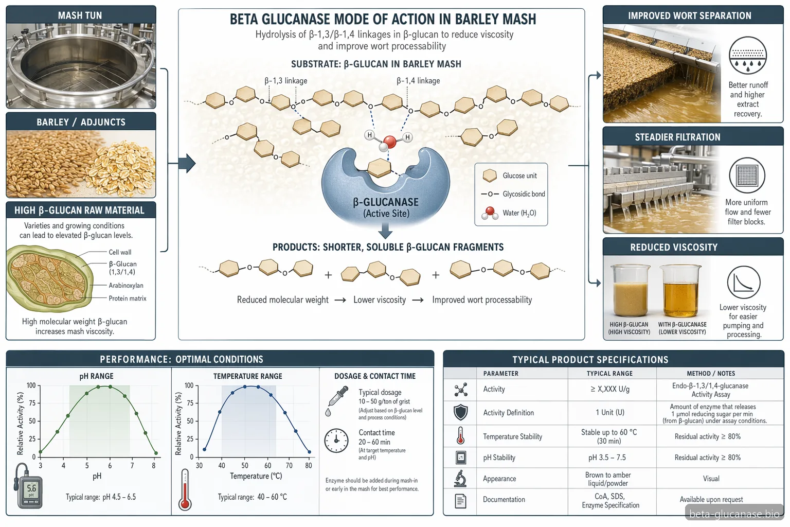 beta glucanase for brewing supplier guide, process diagram of glucan breakdown with pH, temperature, and wort separation
