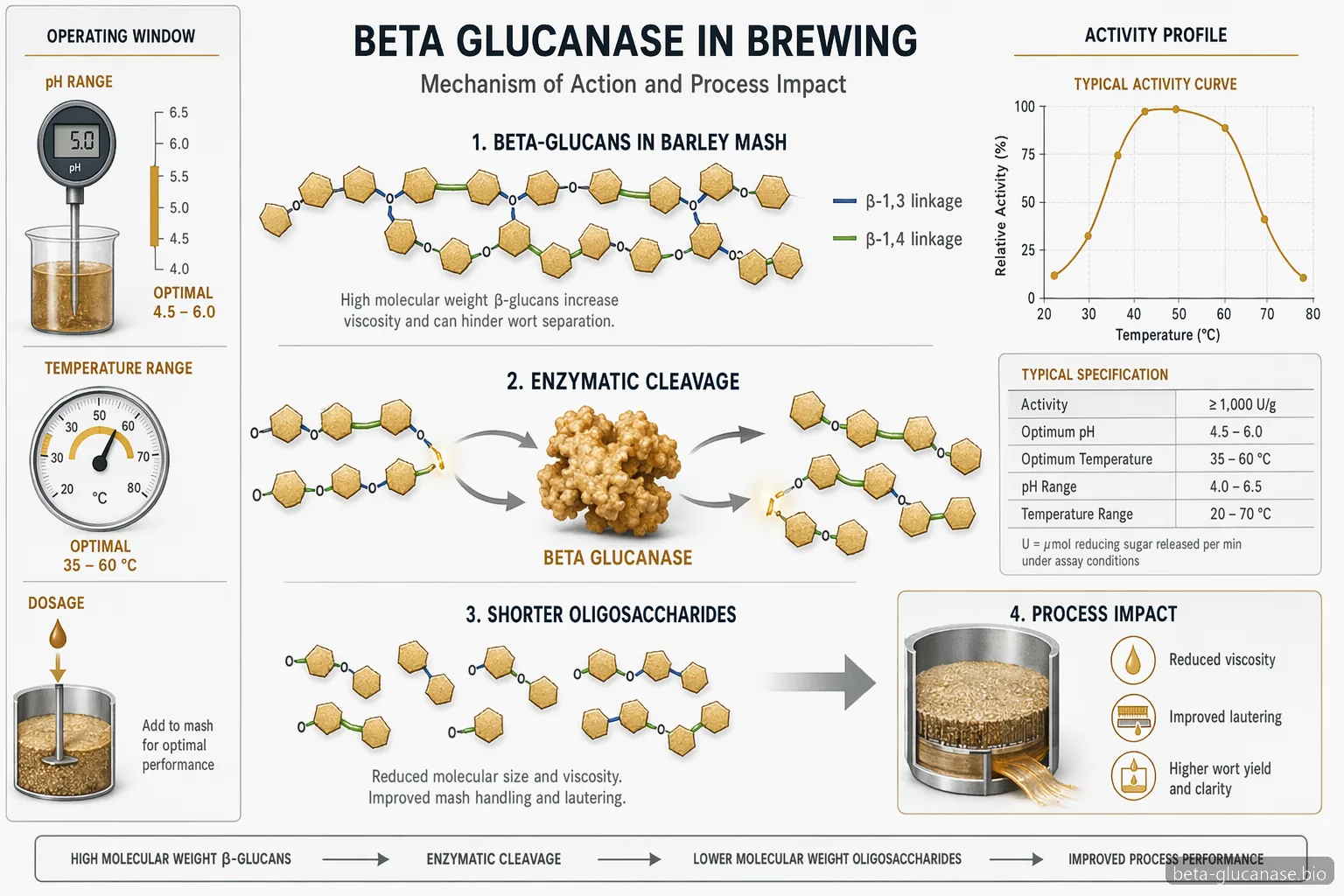 beta glucanase in brewing, Lieferantenleitfaden-Diagramm mit Glucankettenspaltung, geringerer Viskosität und Kontrollen