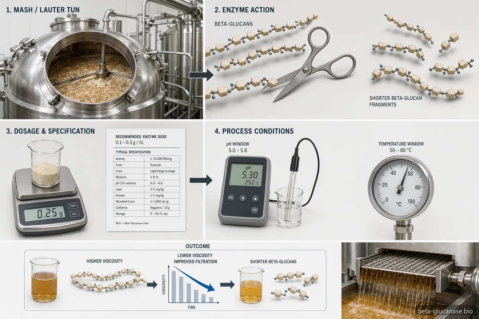 beta glucanase powder supplier brewing guide with enzyme dose, pH, temperature and wort viscosity checkpoints