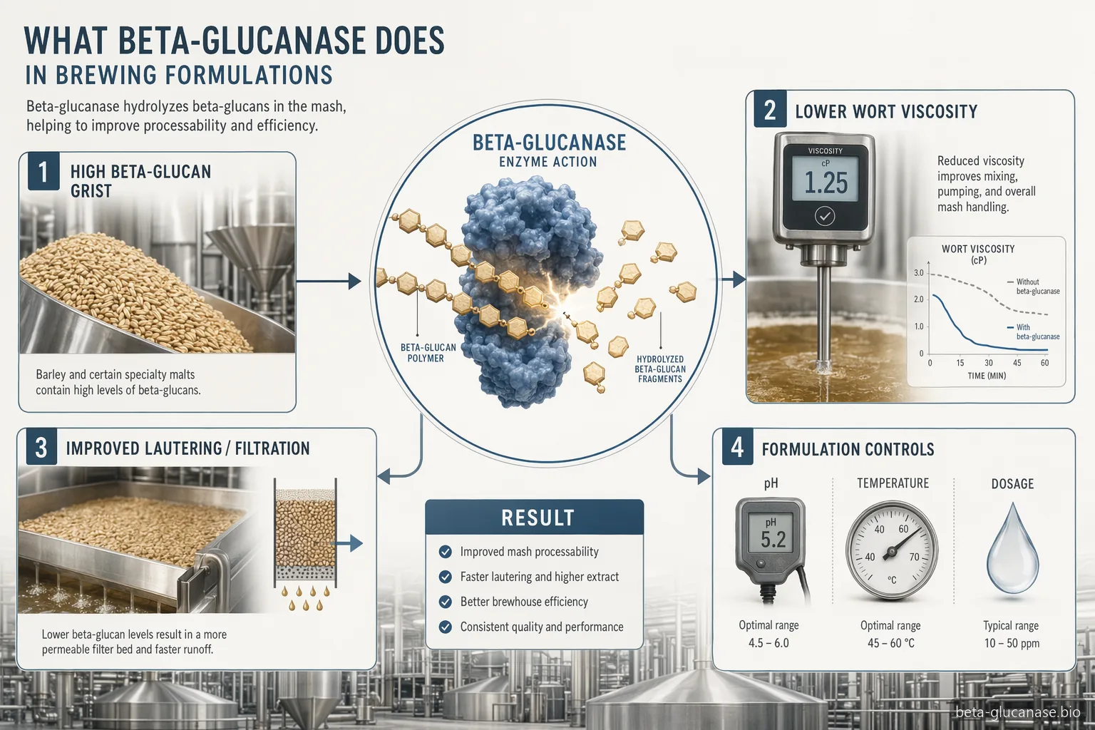 hvad er beta glucanase, bryggeguide med infografik der viser urtviskositet, filtrering, ekstraktudbytte, pH- og varmekontrol